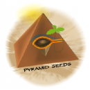 Лучшие семена каннабиса с доставкой от PYRAMID SEEDS 
